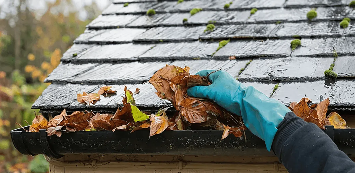 Gutter cleaning technician clearing wet leaves from roof gutters in Stockton, CA